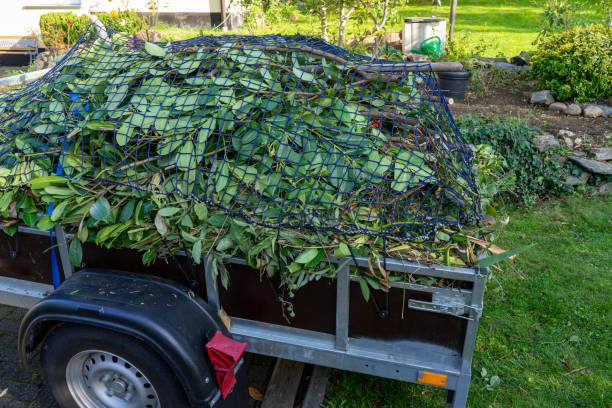 Best Residential Junk Removal  in St Peters, MO